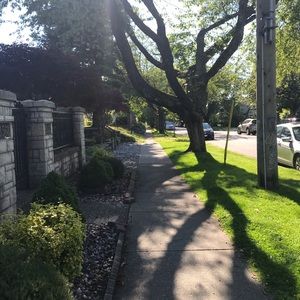 Meet your Posher, Bảo ngọc